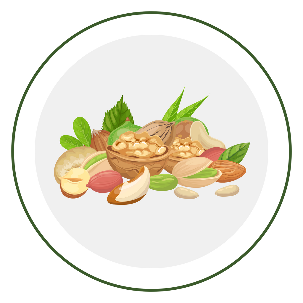 Dried Fruits & Nuts